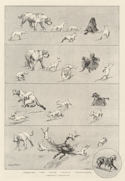 奇妙な土地の見知らぬ人 作： Louis Wain